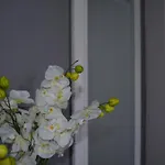Apartment Apartmani Gracin Zorka