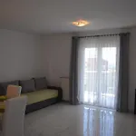 Apartment Apartmani Gracin Zorka *