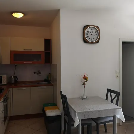 Gracin Zorka * 프리모스턴