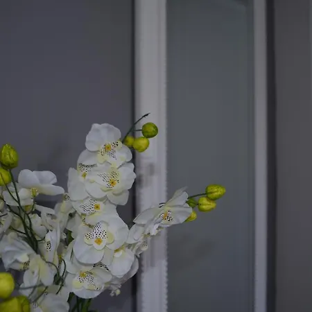 Apartment Apartmani Gracin Zorka