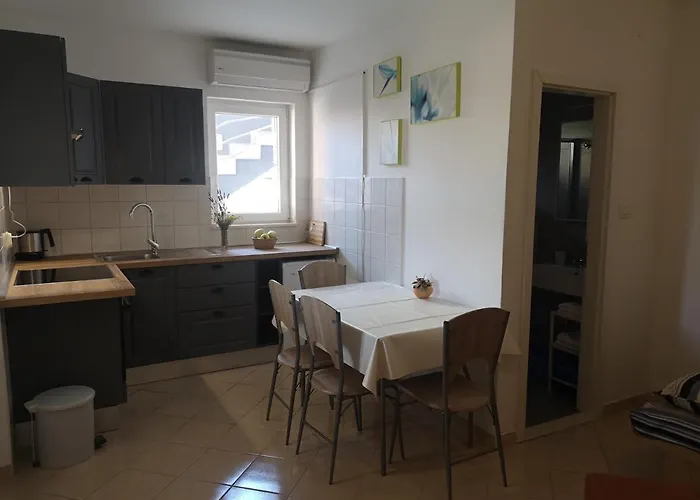 Gracin Zorka * 프리모스턴