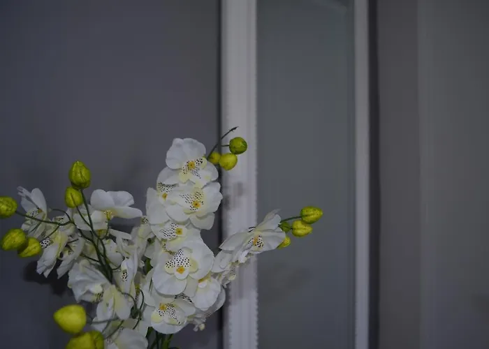 Lejlighed Gracin Zorka